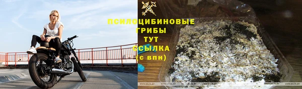 дживик Балабаново