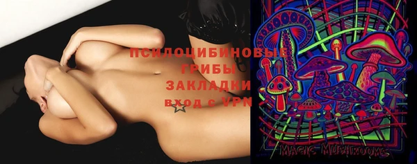 гидропоника Балахна