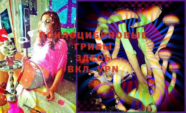 ПСИЛОЦИБИНОВЫЕ ГРИБЫ Баксан