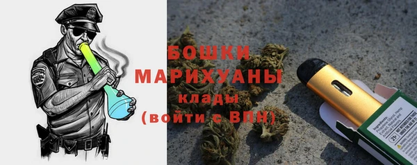 ПСИЛОЦИБИНОВЫЕ ГРИБЫ Баксан
