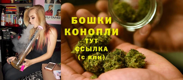 ПСИЛОЦИБИНОВЫЕ ГРИБЫ Баксан